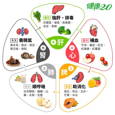 肝心脾肺腎木火土金水|藥補不如食補！吃這『五色』食物養五臟